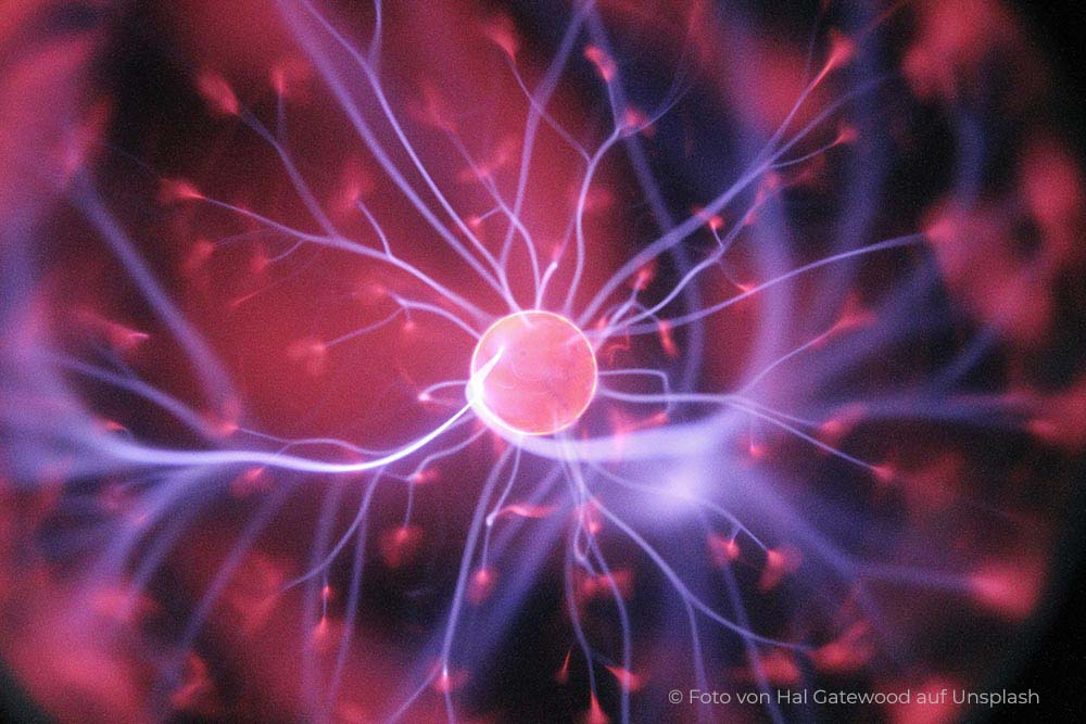 Neuronen Foto Hal Gatewood Unsplash